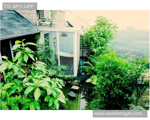 足球打坐：在绿茵场上寻找内心的宁静与平衡之道