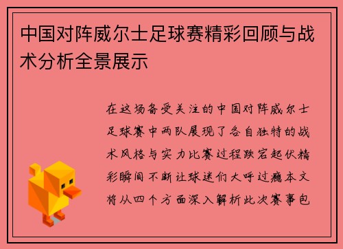 中国对阵威尔士足球赛精彩回顾与战术分析全景展示