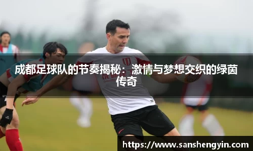 成都足球队的节奏揭秘：激情与梦想交织的绿茵传奇