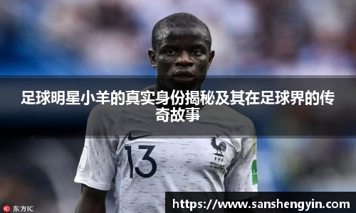 熊猫体育官方网站